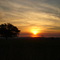 Fazenda Barrinha