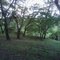 Bosque da Capelinha