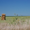 Open Field - NE