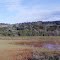 Panorâmica Rio Verde - Secoke, Inc.