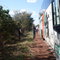 pedro gomes br 216