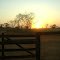 Entardecer em  Pedro Gomes MS