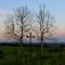 oratory isolated