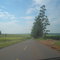 Pegando a estrada - by fabiolu