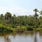 Canoa