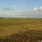 Embrapa Florestas - Ponta Grossa