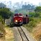 Trem passando pela estação Vila Velha, em Ponta Grossa/PR