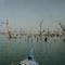Uma floresta inundada pelo lago da represa entre Mato Grosso do Sul e Minas Gerais- Brasilia a Santa Catarina em caiaque