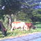 via rio kunana