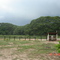 hda. Curazao-Sierra de Perijá