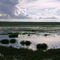 Llanos de Apure