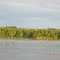 Petroglifo en el Orinoco