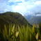 Sierra de Perijá