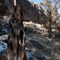 Eagle Crest 9