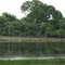 Yagrumalito. Finca Quitapesares.