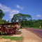 carretera artesania(ampliar)