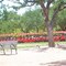 train @ hermman park