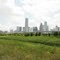 Houston Downtown Skyline