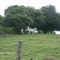 Caballos (WASS)