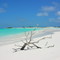 Los Roques
