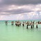 DosMosquises Los Roques