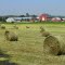 Hay Harvest Brentwood NH