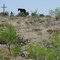 Praying Cowboy Steel Sculpture, from I-20 Frontage Taylor County, Texas