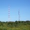 antena del samán de apure