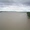 Rio Apure por el Saman