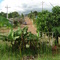 El Callao