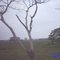 Sur del Zulia