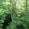 Stone Mill Ruins From Bridge