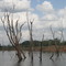 El lago de Guri en La Vigia