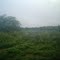 Lote de Terreno deforestado (Sector Los Mangos) Fundo Apamate