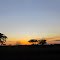 Atardecer en la Sabana