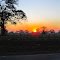 Atardecer Llanero