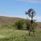 Palouse County Windmill