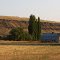 Barn near Kahlotus, WA