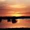Puesta de sol en los llanos de Veenzuela