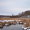 Winter Pickerel/Beuah Portage