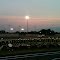 Madison Scouts