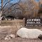 Jim Byrnes Memorial Park