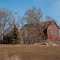 Country Farm