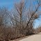Scenic Marsh Road