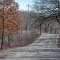 Hilly road