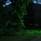 Vista Natural