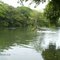 Balneario Rio Verde - Guarico
