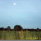 Sale la luna
