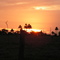 Puesta de Sol en Guarico