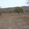 camatagua